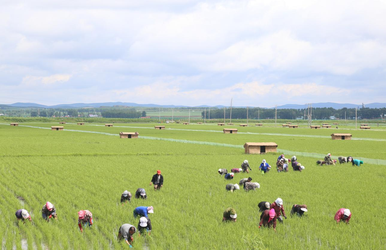 1711006643513183.png 圖片13.png